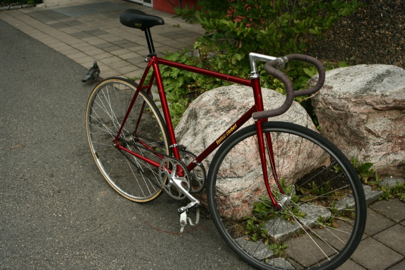 Datei:Fahrrad mit Doppelkettenantrieb.JPG